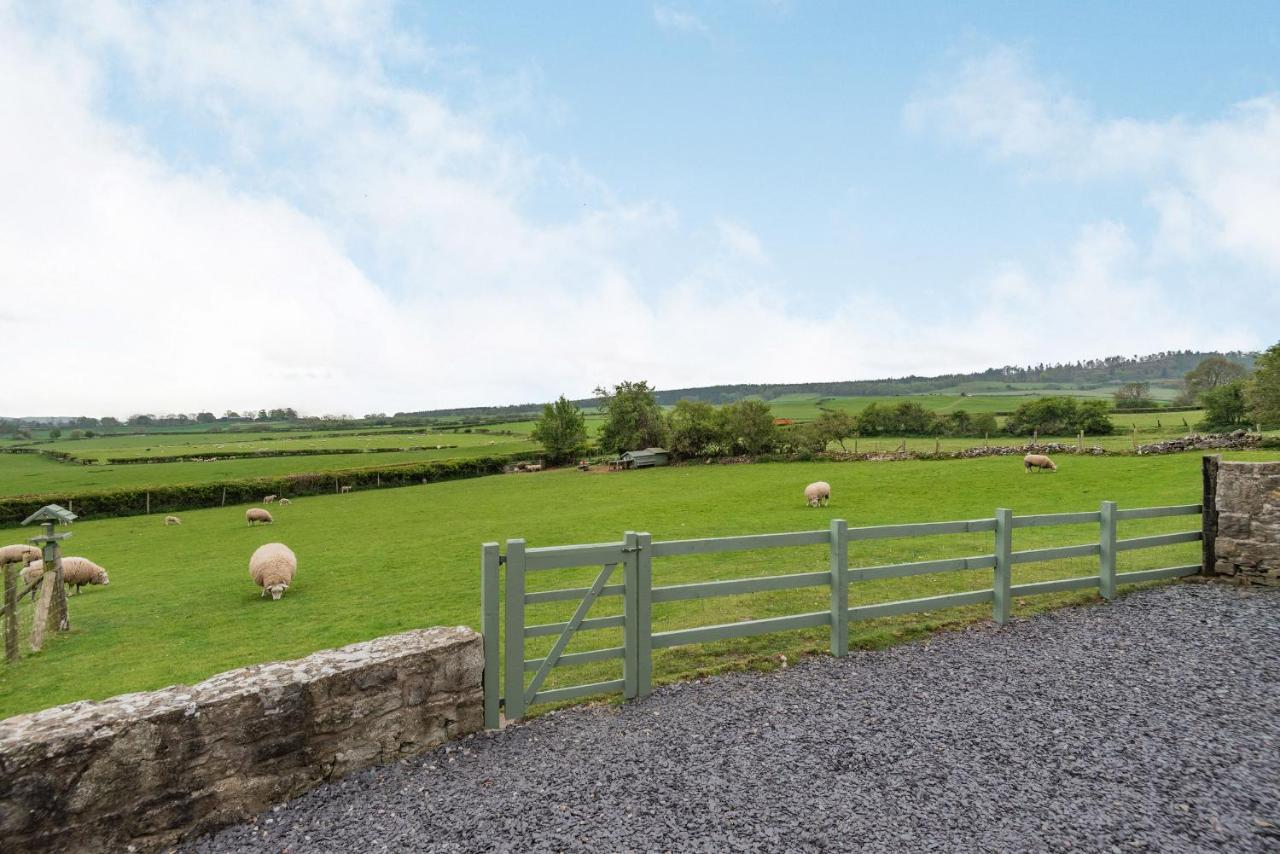 Hafan Haydn Villa Cwm  Bagian luar foto